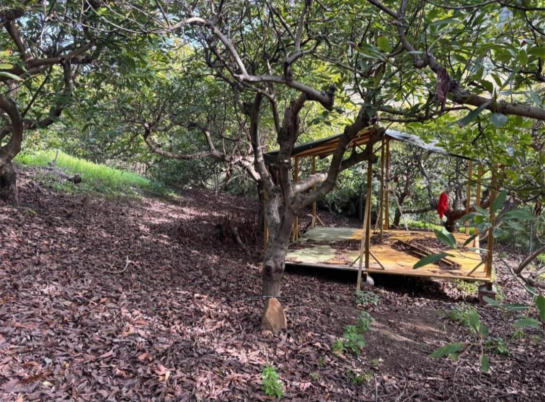 Finca/Country House for sale in Alhaurin el Grande - € 115,000 (Ref: 9434784)