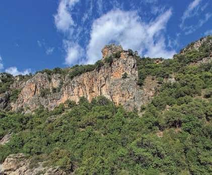 Rakentamaton maa myytävänä paikassa Benahavis - 850 000 € (Ref: 9434883)