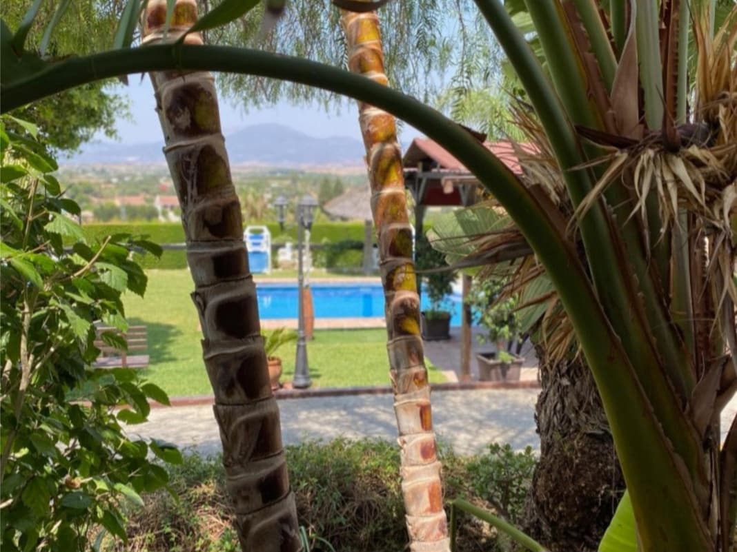 5 bedroom Villa for sale in Alhaurin el Grande with pool garage - € 669,500 (Ref: 9434887)