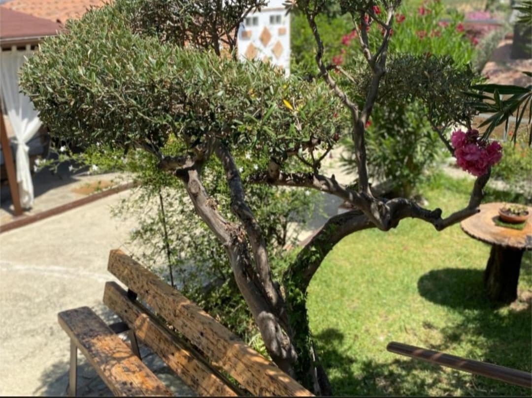 5 bedroom Villa for sale in Alhaurin el Grande with pool garage - € 669,500 (Ref: 9434887)