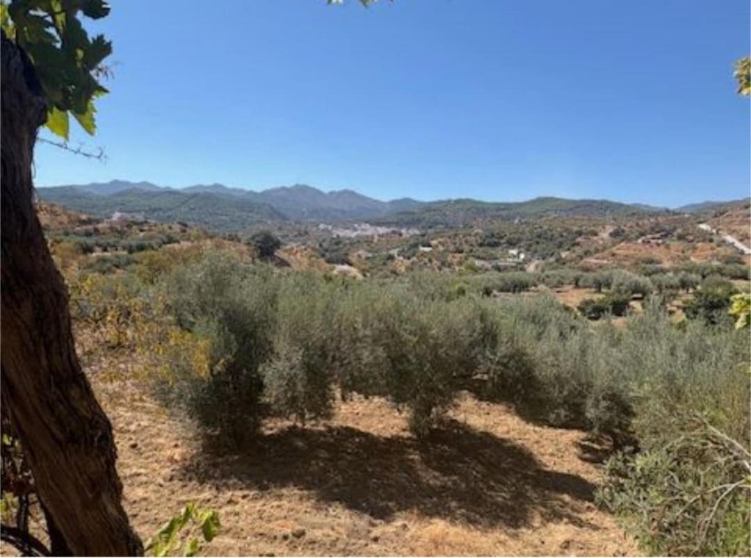 3 bedroom Finca/Country House for sale in Monda - € 710,000 (Ref: 9436829)