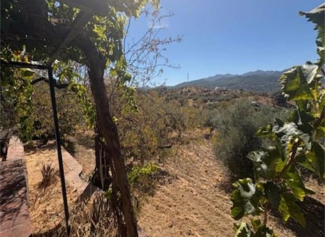 3 Zimmer Finca/Landgut zu verkaufen in Monda - 710.000 € (Ref: 9436829)