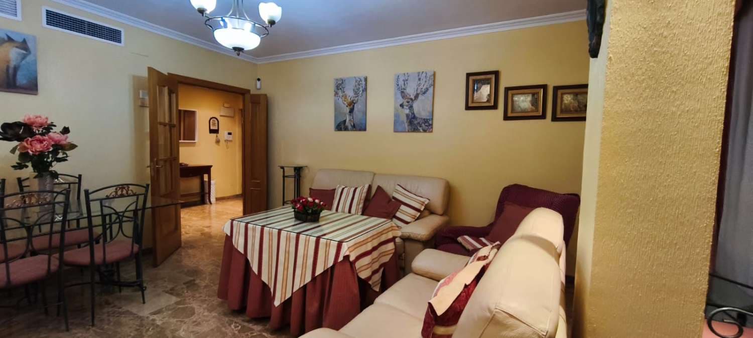 4 Zimmer Penthouse zu vermieten in Malaga Stadt mit Garage - 1.500 € (Ref: 9491104)