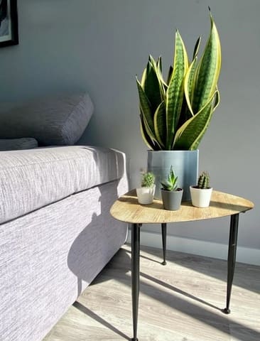 Studio til salgs i Torremolinos med svømmebasseng garasje - € 242 050 (Ref: 9508605)