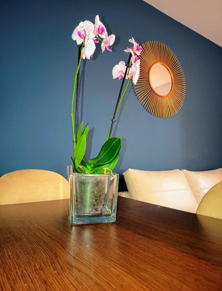 Apartamento Playa de 1 habitación en Rincón de la Victoria en venta con piscina garaje - 252.000 € (Ref: 9660832)