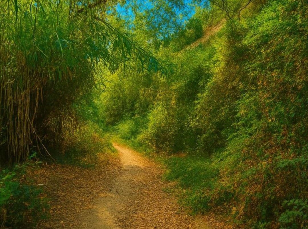 4 quarto Moradia para venda em Benahavis com piscina - 679 000 € (Ref: 9714547)