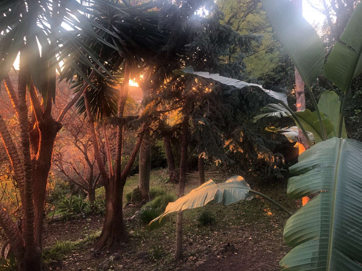 6 quarto Moradia para venda em Estepona com piscina - 1 750 000 € (Ref: 9758546)