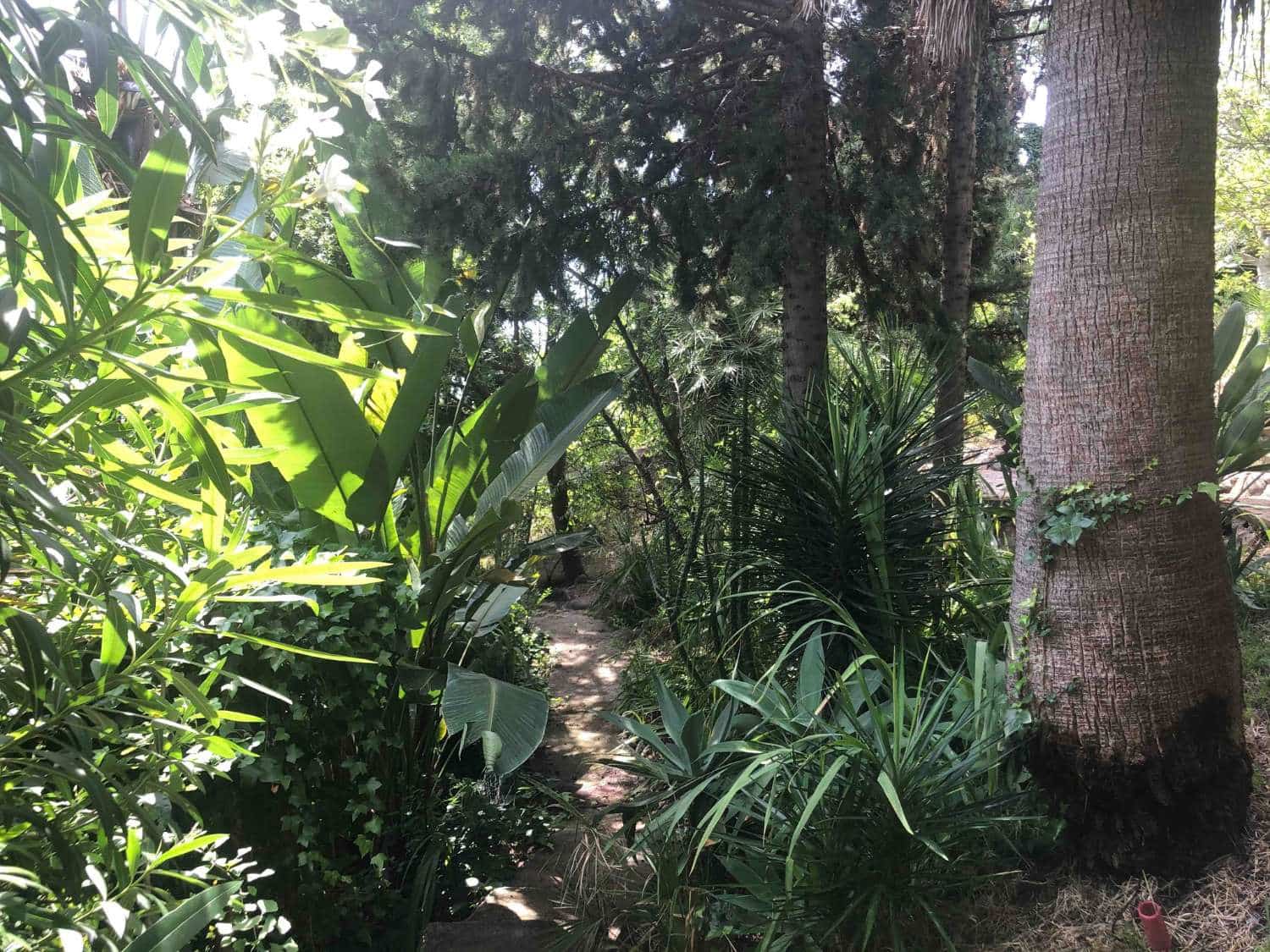 6 quarto Moradia para venda em Estepona com piscina - 1 750 000 € (Ref: 9758546)