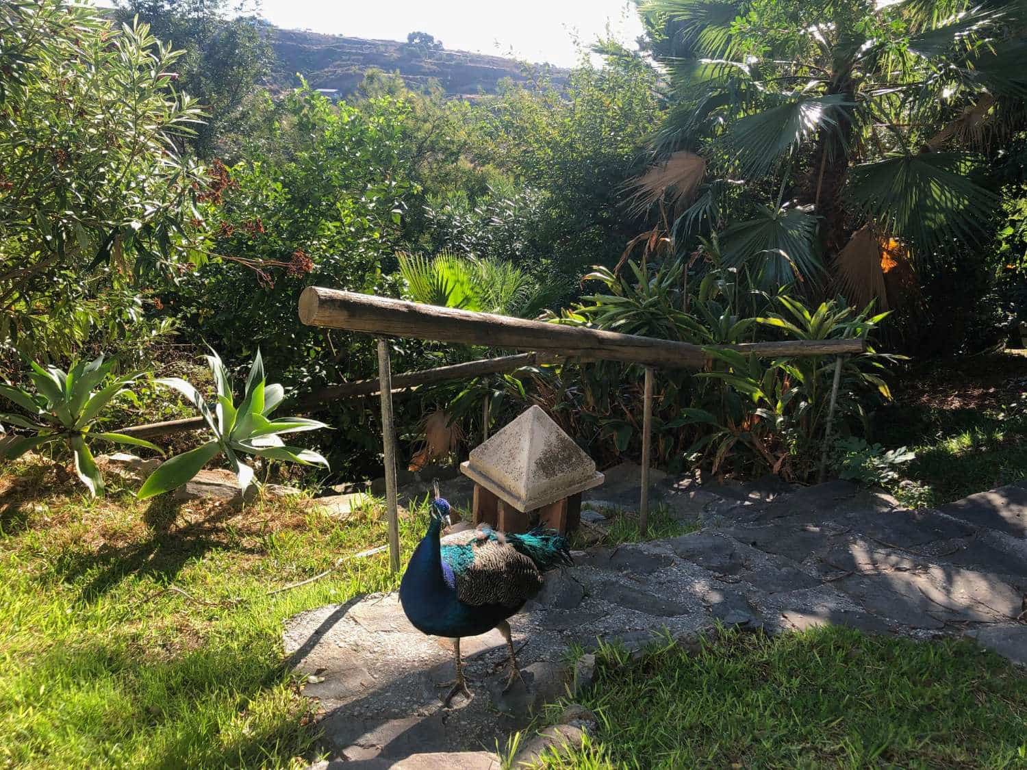 6 quarto Moradia para venda em Estepona com piscina - 1 750 000 € (Ref: 9758546)