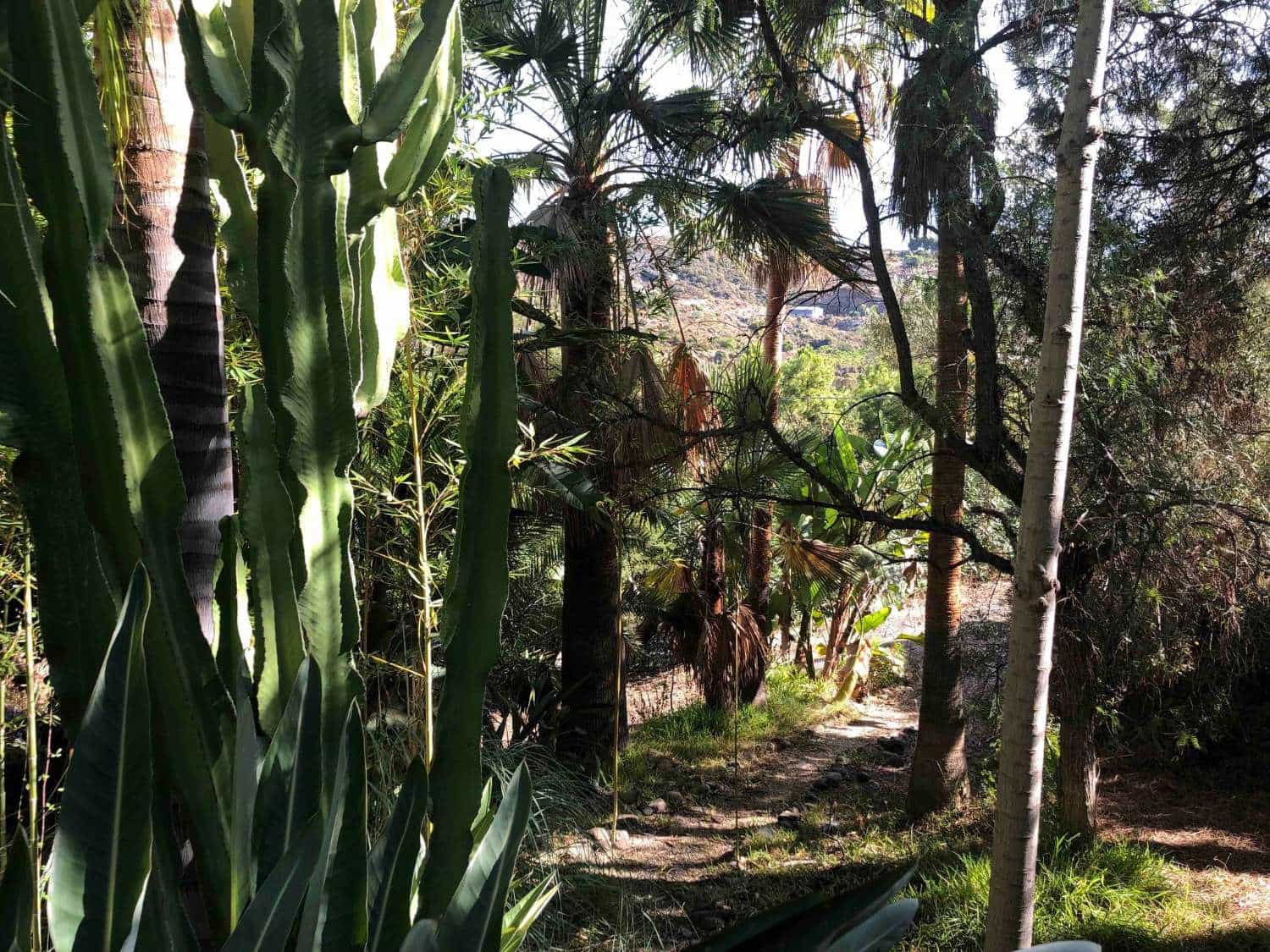 6 quarto Moradia para venda em Estepona com piscina - 1 750 000 € (Ref: 9758546)