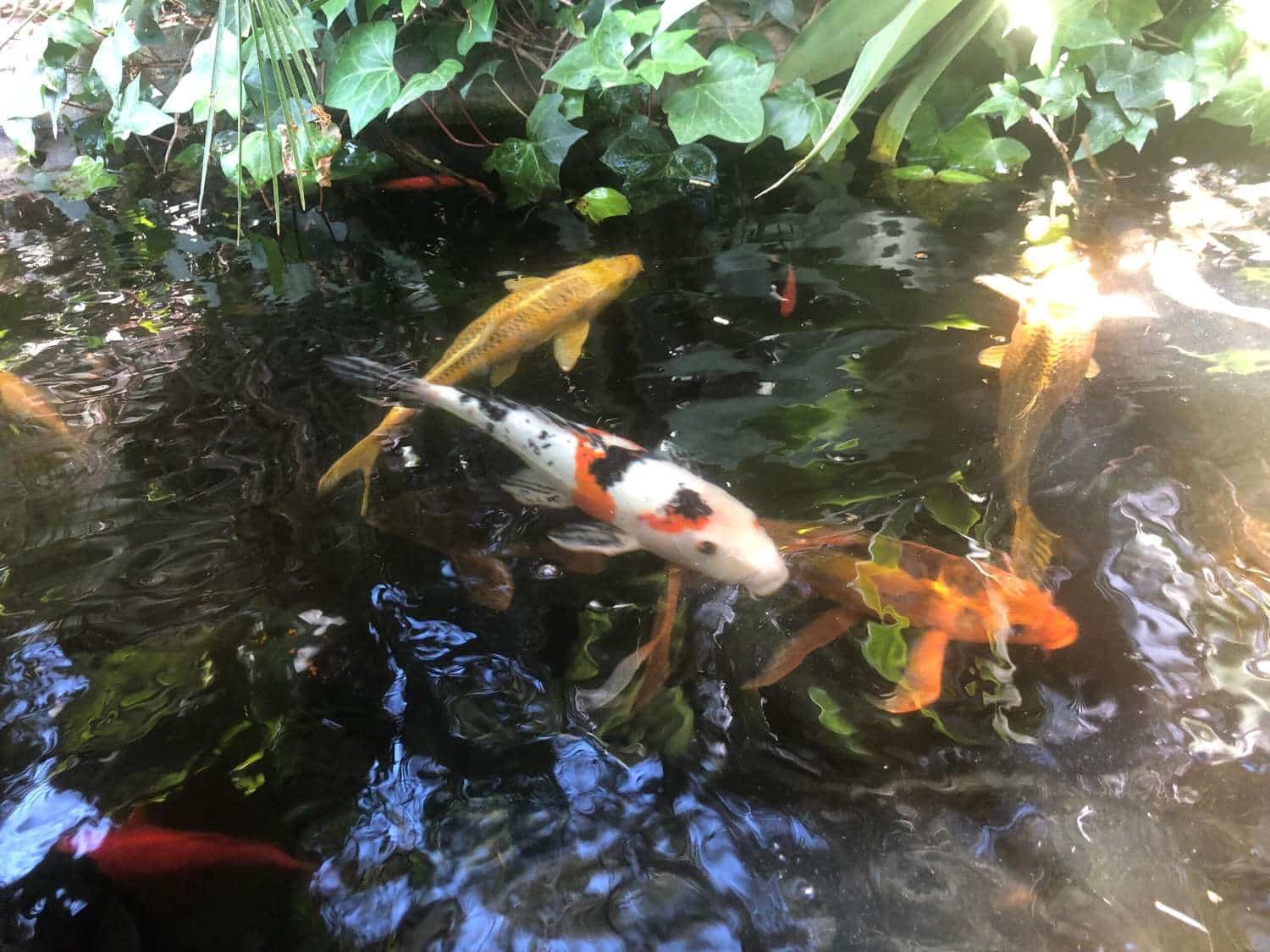 6 quarto Moradia para venda em Estepona com piscina - 1 750 000 € (Ref: 9758546)