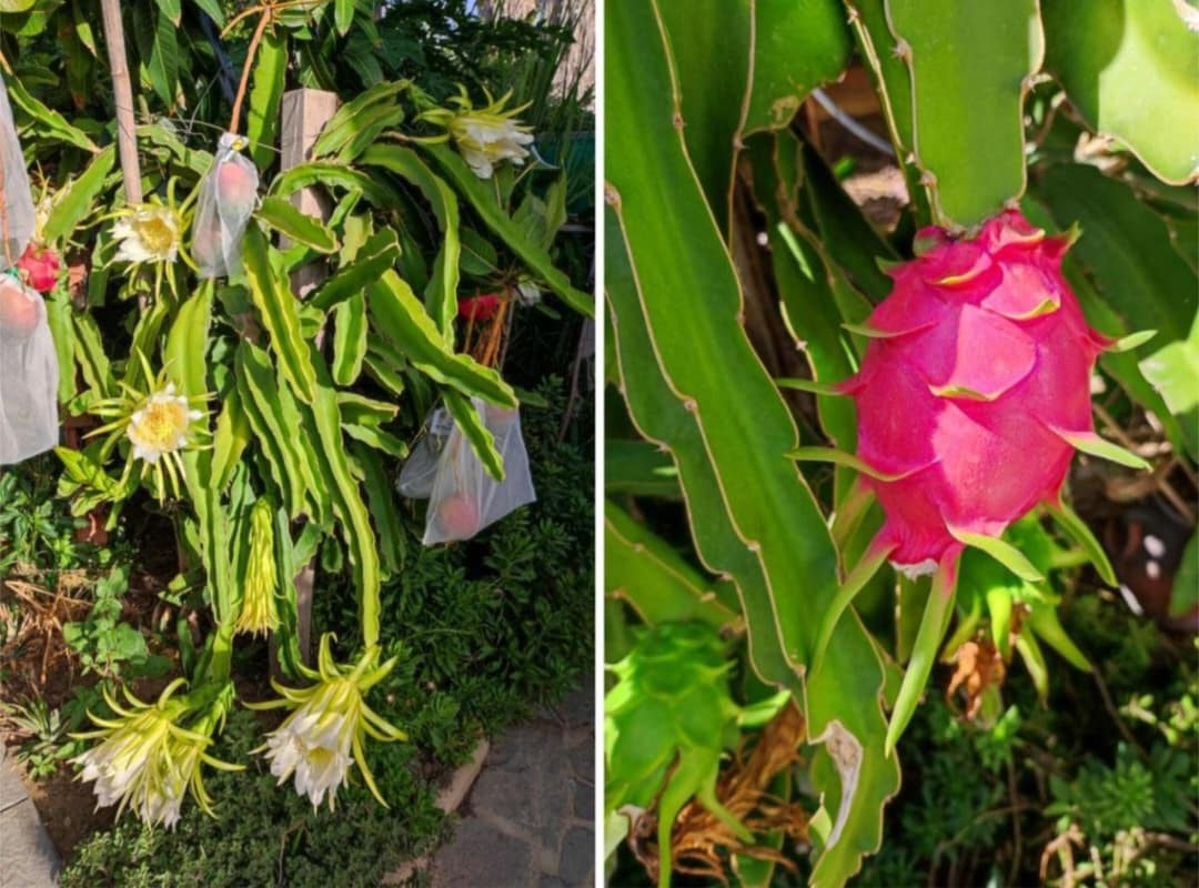 3 soveværelse Rækkehus til salg i Mijas med swimmingpool garage - € 459.000 (Ref: 9758547)