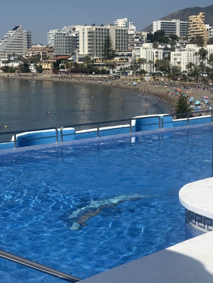 1 soveværelse Strandlejlighed til salg i Benalmadena med swimmingpool - € 445.000 (Ref: 9910049)