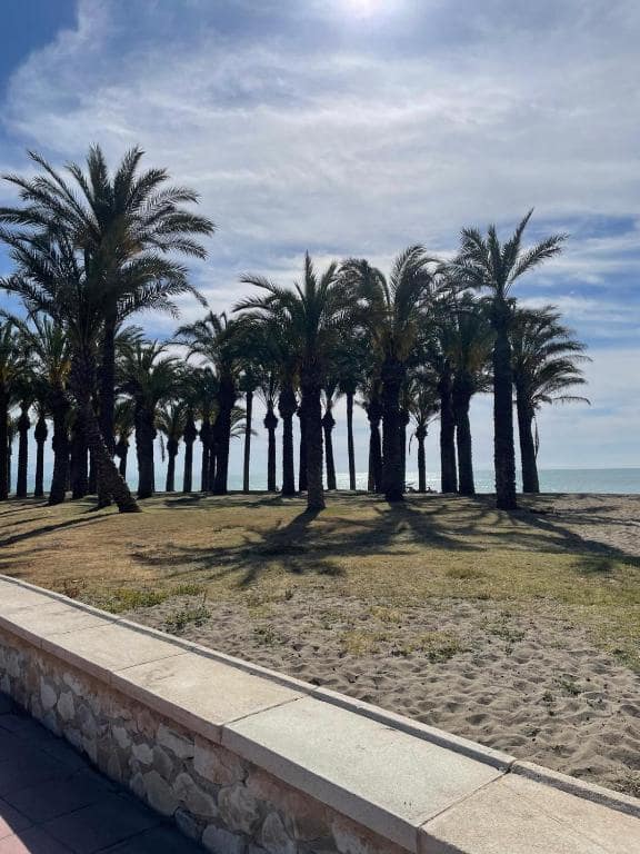 1 camera da letto Appartamento sulla Spiaggia da affitare come casa vacanza in Torremolinos con piscina garage - 329 € (Rif: 9935563)