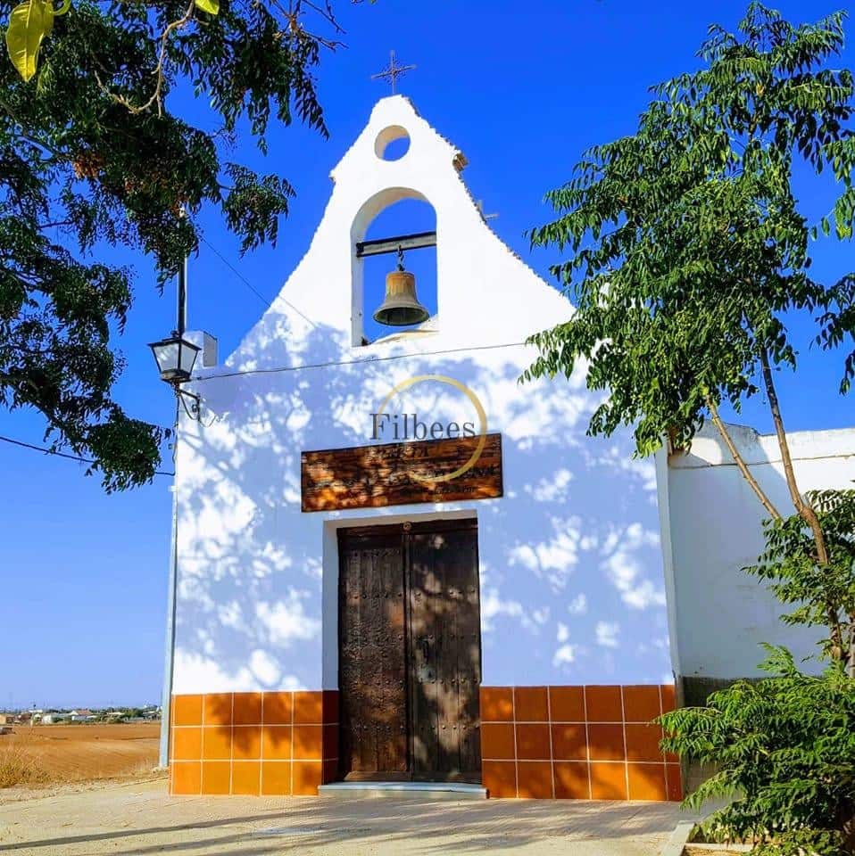 6 soveværelse Villa til salg i San Isidro med swimmingpool garage - € 520.000 (Ref: 2764793)