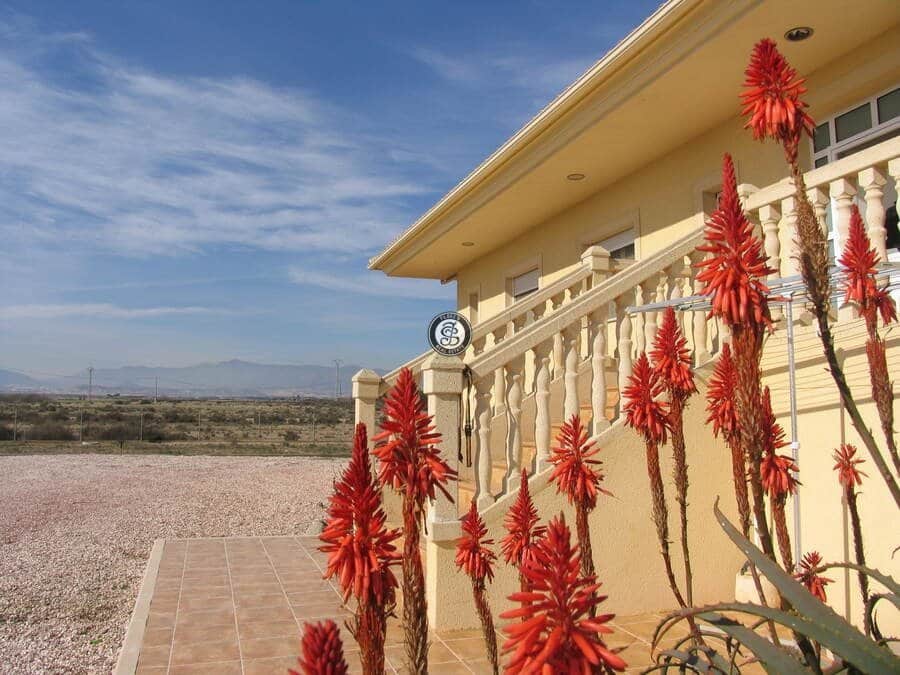 3 soveværelse Villa til salg i Leiva - € 450.000 (Ref: 4141061)