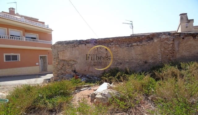Chalet en Los Canovas, Fuente Alamo de Murcia en venta - 55.000 € (Ref: 4141086)