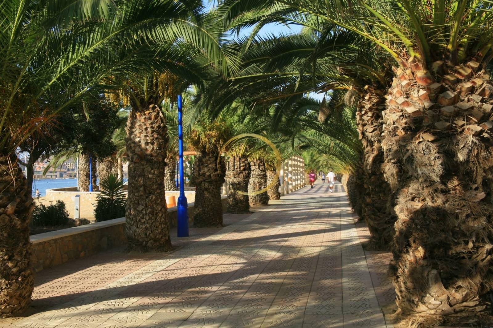 Chalet de 3 habitaciones en Puerto de Mazarron en venta con piscina - 995.000 € (Ref: 7219209)