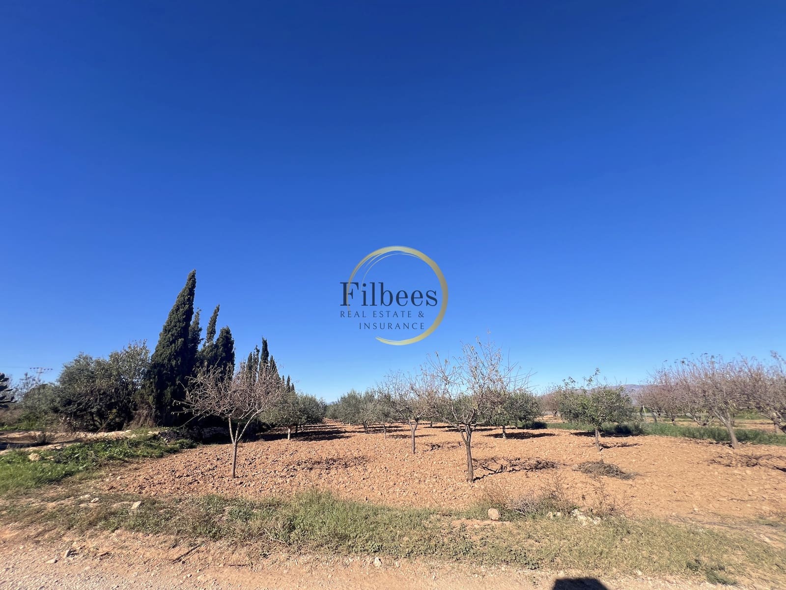 4 slaapkamer Huis te koop in La Pinilla met garage - € 120.000 (Ref: 8927673)