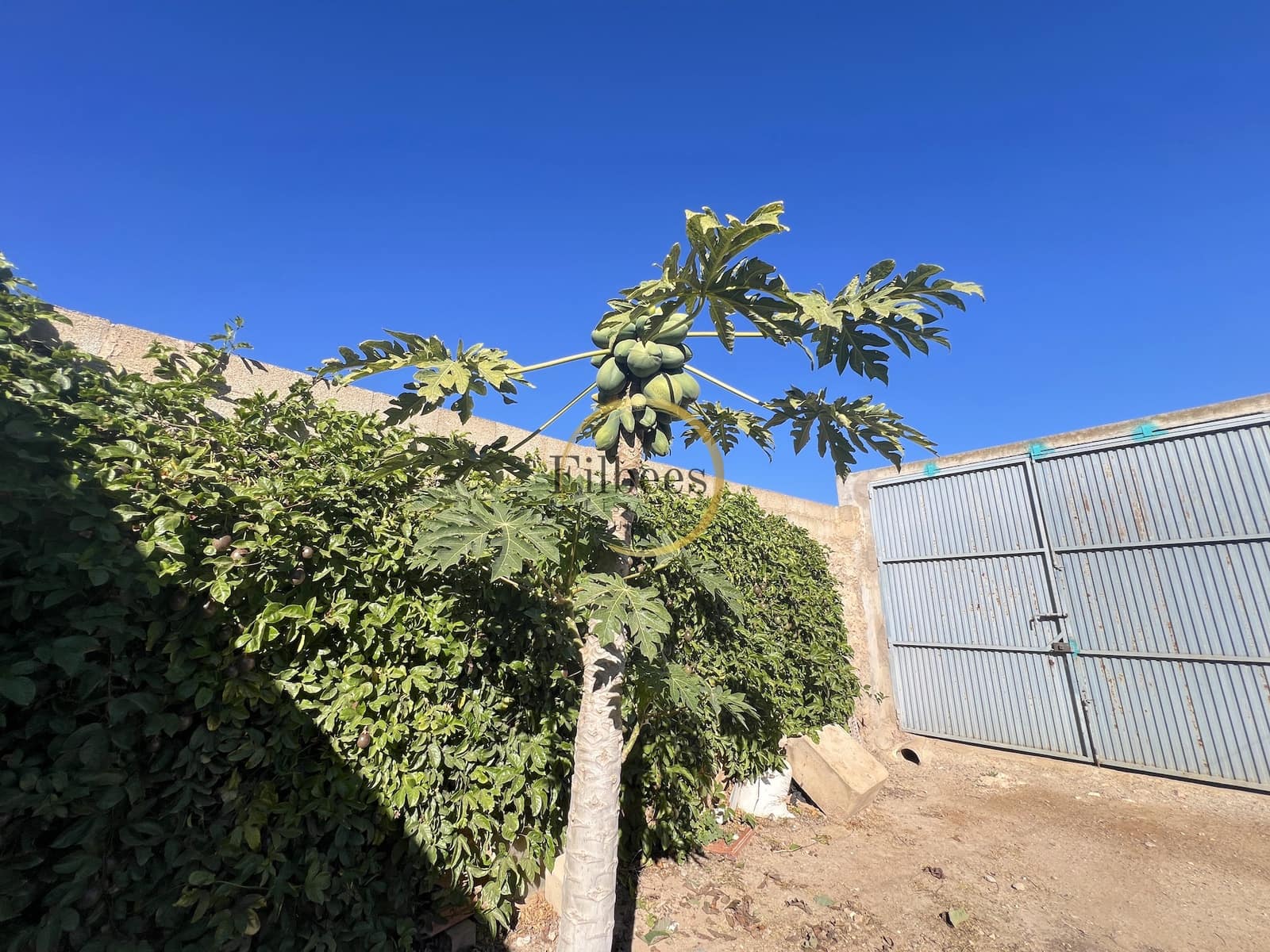 4 slaapkamer Huis te koop in La Pinilla met garage - € 120.000 (Ref: 8927673)