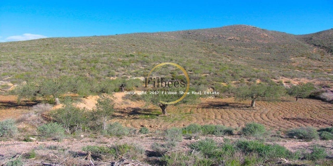 Byggegrund til salg i Puerto de Mazarron - € 95.000 (Ref: 9138293)