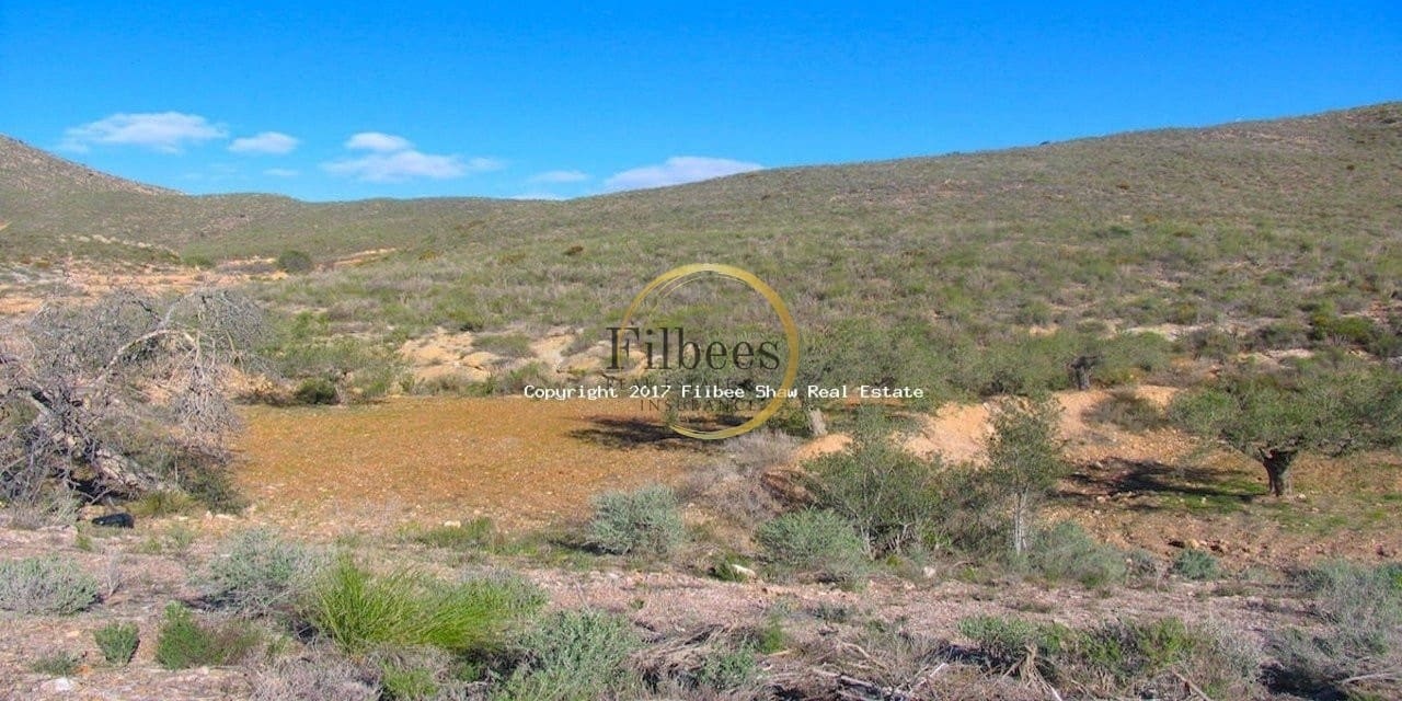 Byggegrund til salg i Puerto de Mazarron - € 95.000 (Ref: 9138293)