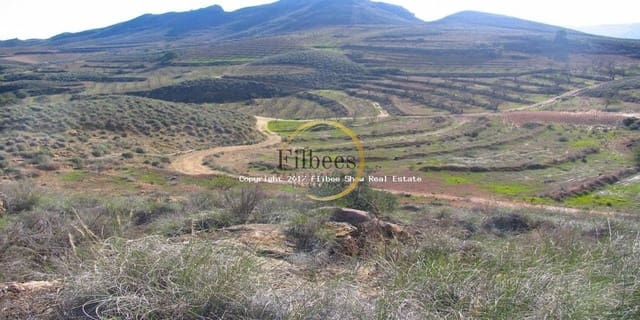 Building Plot for sale in Lorca - € 95,000 (Ref: 9138293)