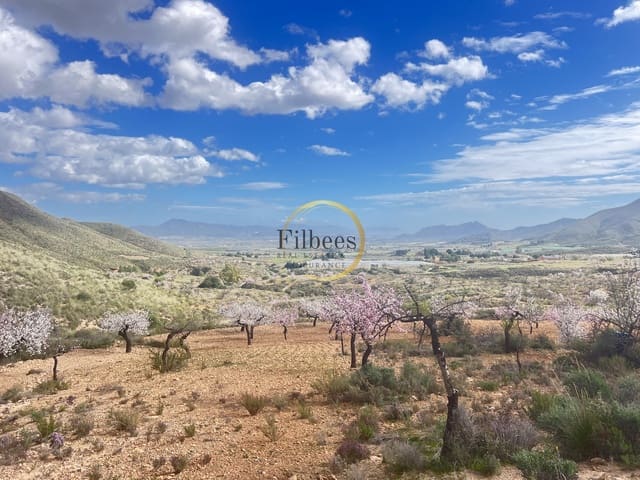 Chalet de 3 habitaciones en Morata, Lorca en venta con garaje - 200.000 € (Ref: 9725010)