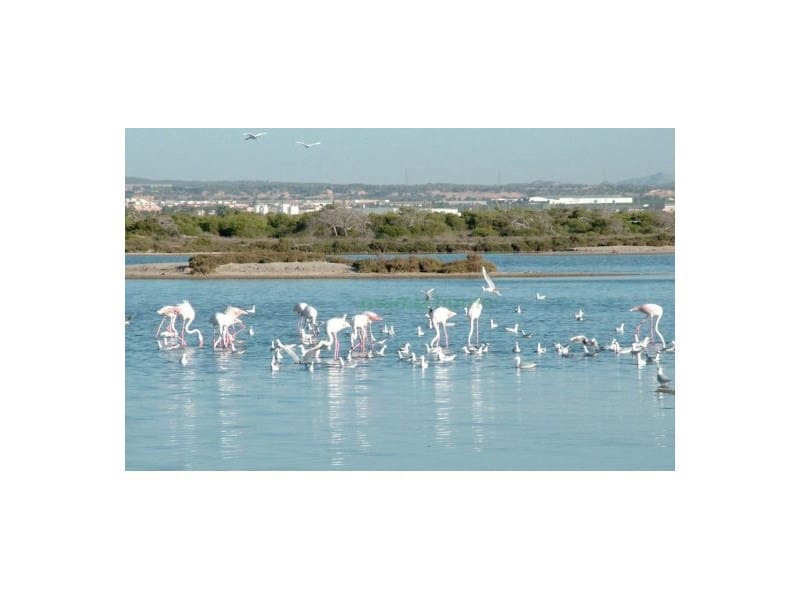 2 chambre Appartement à vendre à Lo Pagan avec garage - 290 900 € (Ref: 5239590)