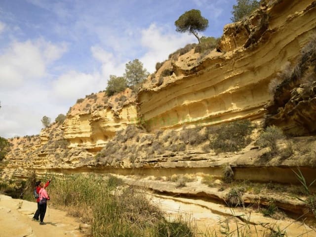 3 chambre Appartement à vendre à Pilar de la Horadada ciudad, Pilar de la Horadada - 235 900 € (Ref: 6870584)