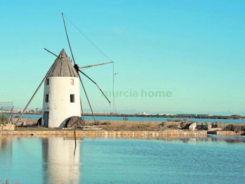 3 chambre Appartement à vendre à Pilar de la Horadada - 249 900 € (Ref: 6934908)