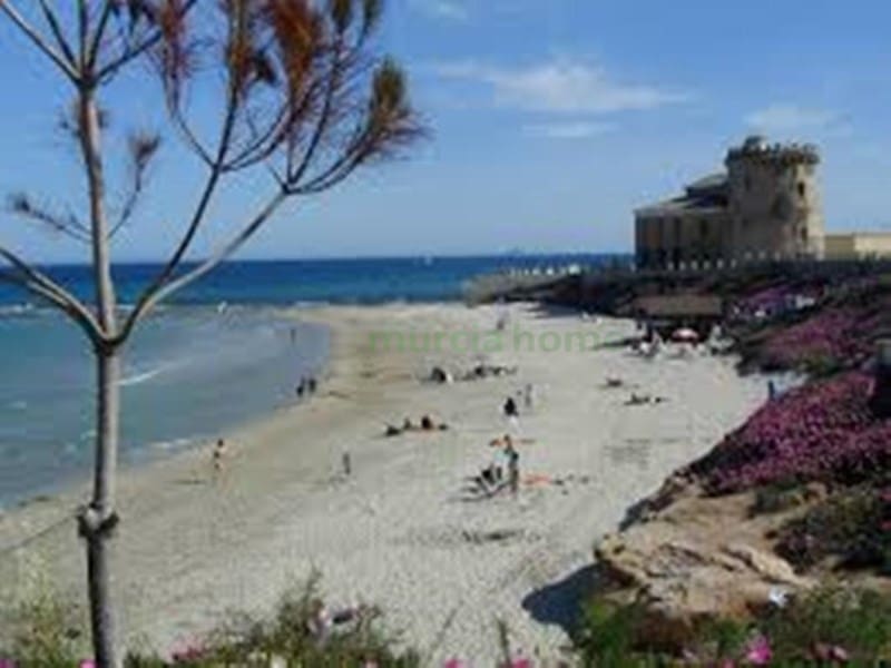 2 Zimmer Apartment zu verkaufen in Pilar de la Horadada - 224.900 € (Ref: 7449757)