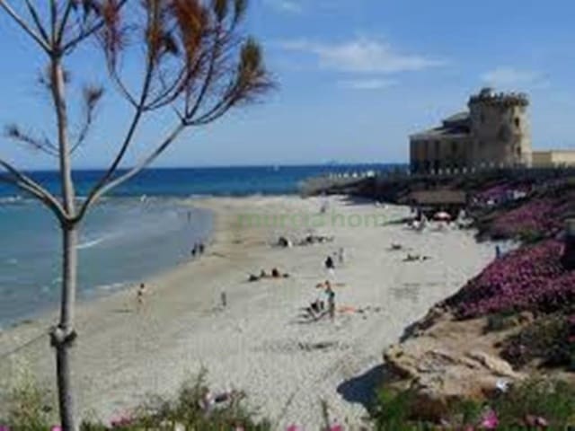 4 bedroom Villa for sale in Torre de la Horadada, Pilar de la Horadada - € 745,000 (Ref: 7573871)