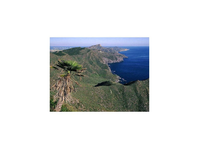 3 soveværelse Lejlighed til salg i Los Belones - € 115.000 (Ref: 9051429)