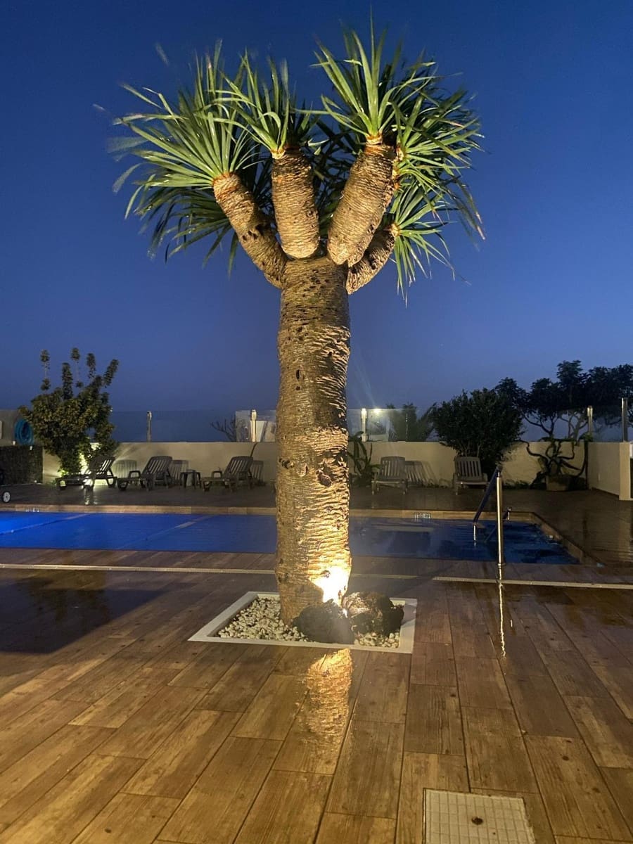 11 bedroom Villa for sale in Tias with pool garage - € 1,350,000 (Ref: 10147148)