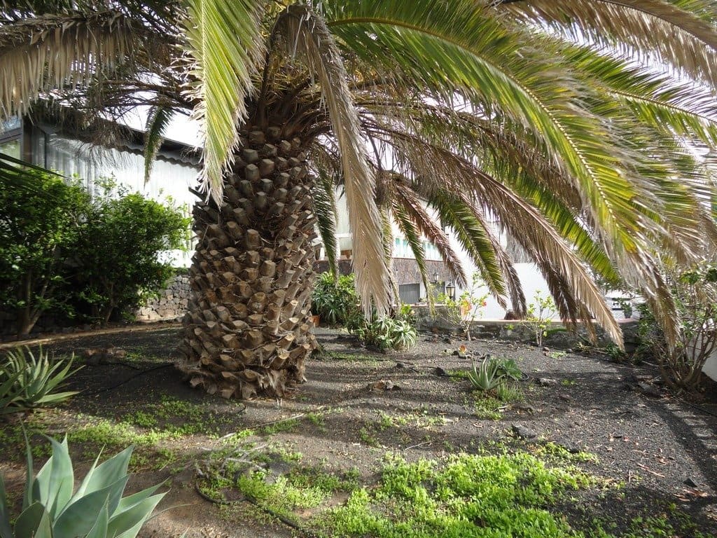 4 soverom Villa til salgs i Nazaret med garasje - € 500 000 (Ref: 6161076)