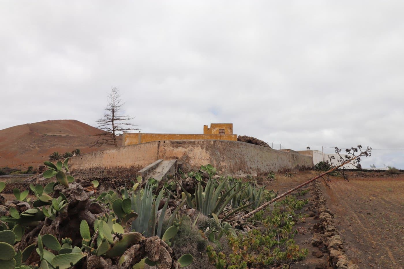 16 chambre Finca/Maison de Campagne à vendre à Tiagua - 940 000 € (Ref: 7012082)