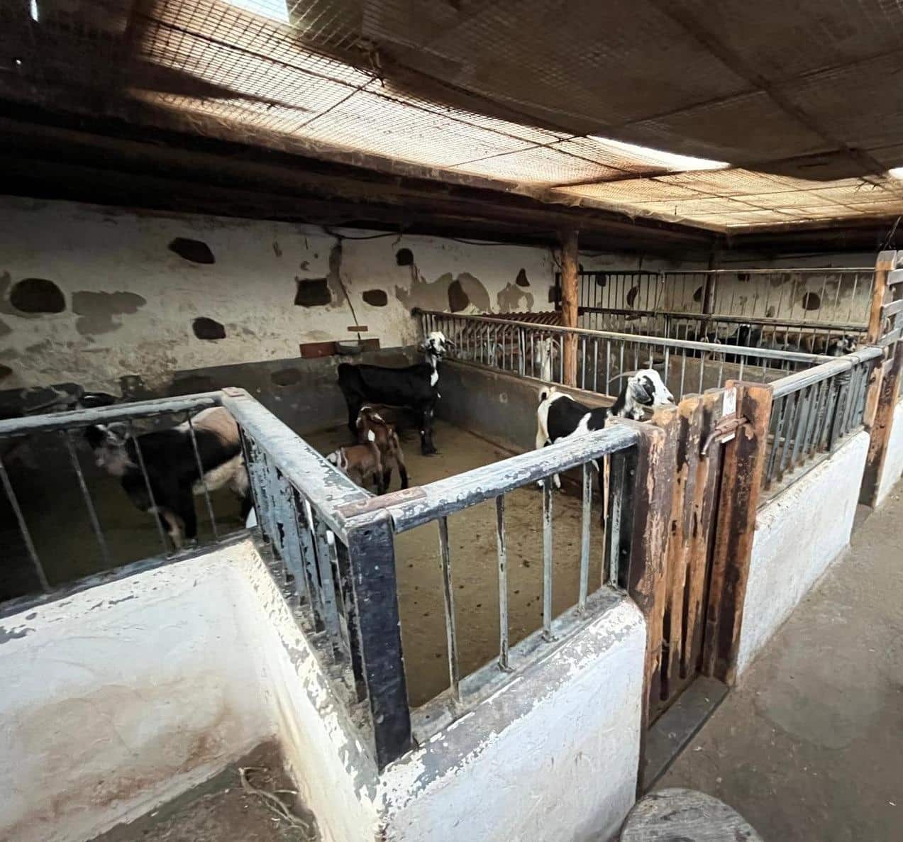 2 soveværelse Villa til salg i Tias med garage - € 775.000 (Ref: 8836753)