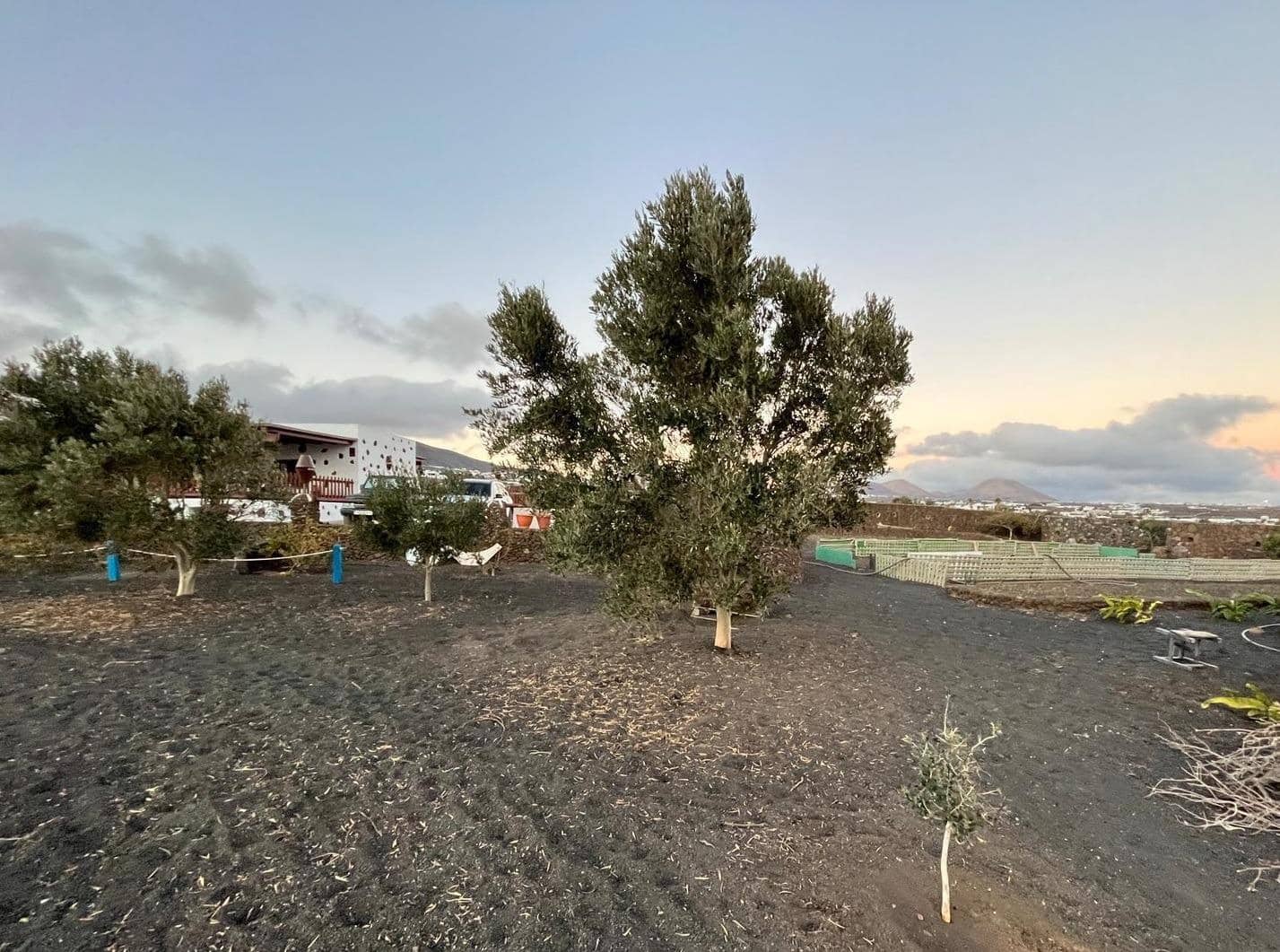 2 chambre Villa/Maison à vendre à Tias avec garage - 775 000 € (Ref: 8836753)