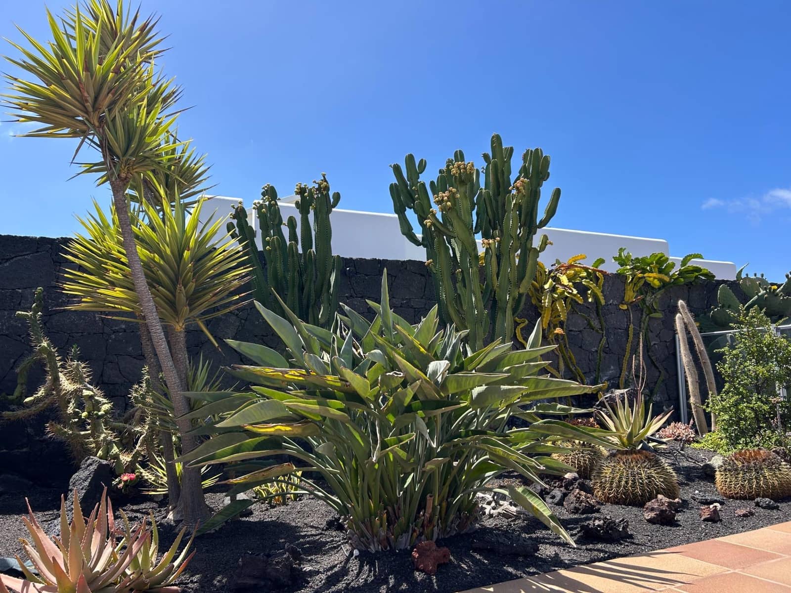 4 makuuhuone Huvila myytävänä paikassa Playa Blanca mukana uima-altaan - 595 000 € (Ref: 8950585)