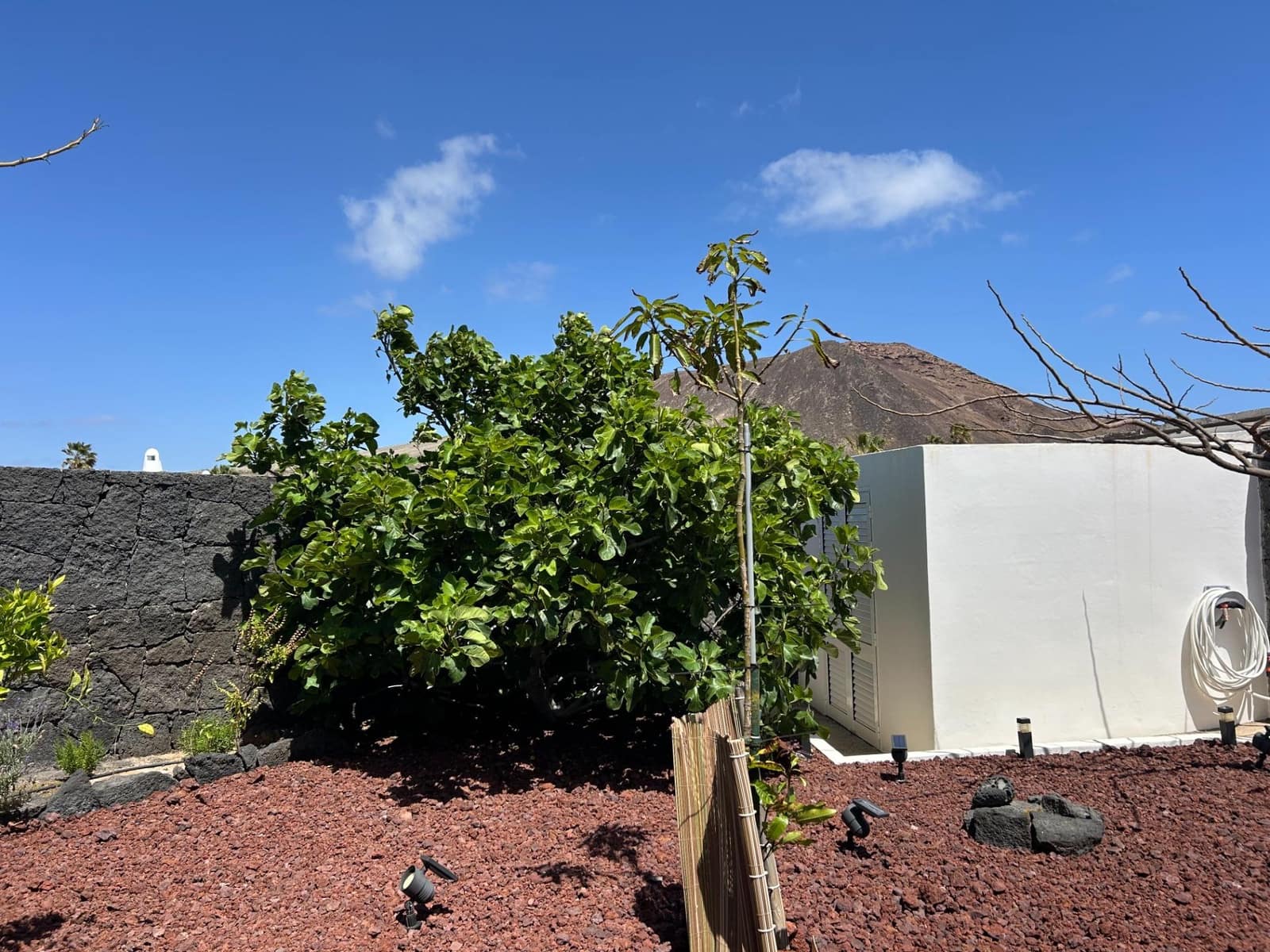 4 slaapkamer Villa te koop in Playa Blanca met zwembad - € 595.000 (Ref: 8950585)