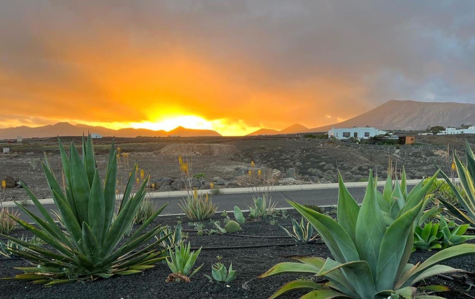 9 soveværelse Hotel til salg i Tias - € 2.500.000 (Ref: 9755652)