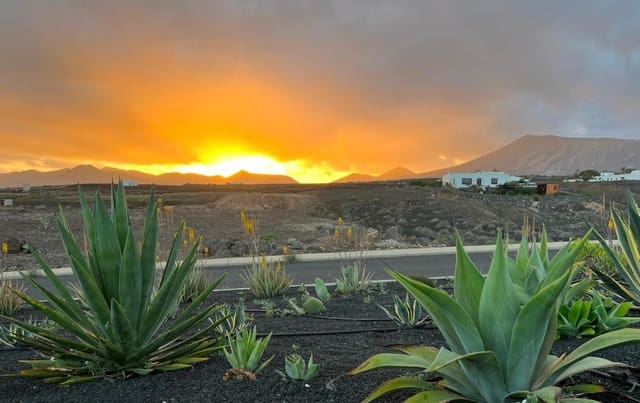 9 soveværelse Hotel til salg i Tías - € 2.500.000 (Ref: 9755652)