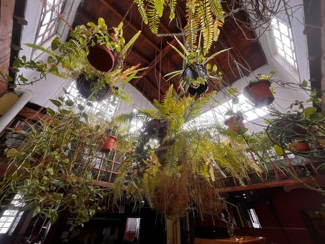 Commercieel te koop in Teguise - € 2.500.000 (Ref: 9797071)