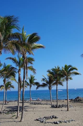 1 camera da letto Appartamento in vendita in Puerto del Carmen, Tías - 340.000 € (Rif: 9929365)