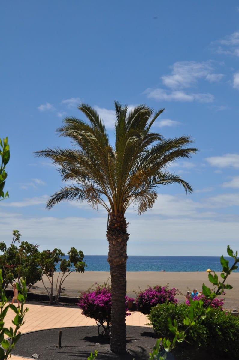 1 bedroom Flat for sale in Puerto del Carmen - € 340,000 (Ref: 9929365)