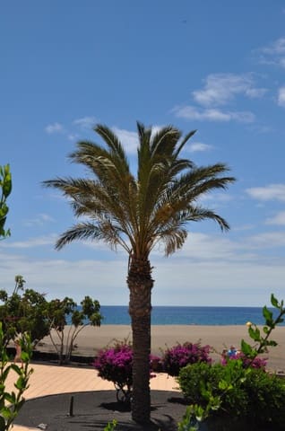 1 camera da letto Appartamento in vendita in Puerto del Carmen, Tías - 340.000 € (Rif: 9929365)