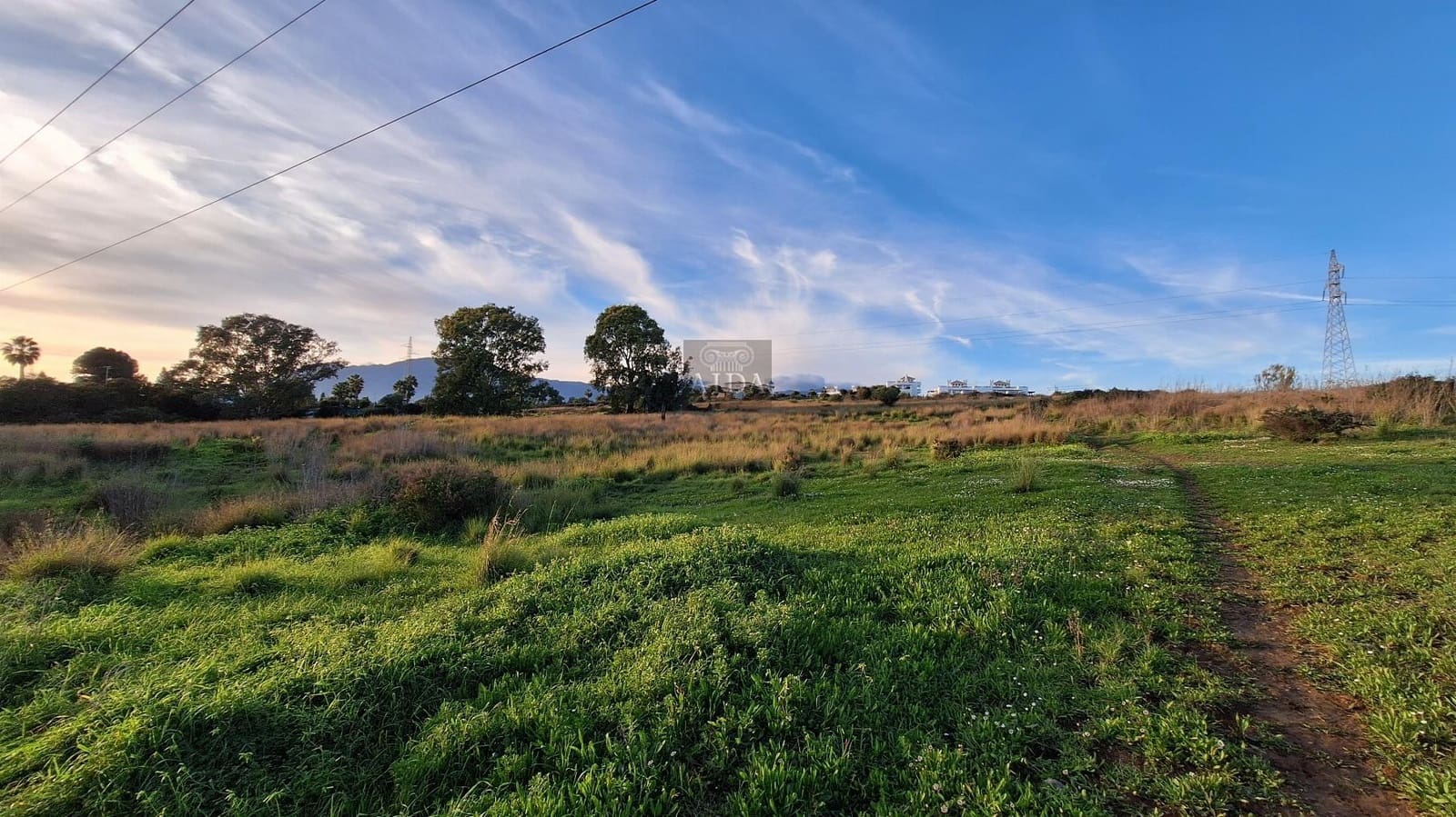 Finca/Landehus til salg i Estepona - € 4.000.000 (Ref: 8766290)