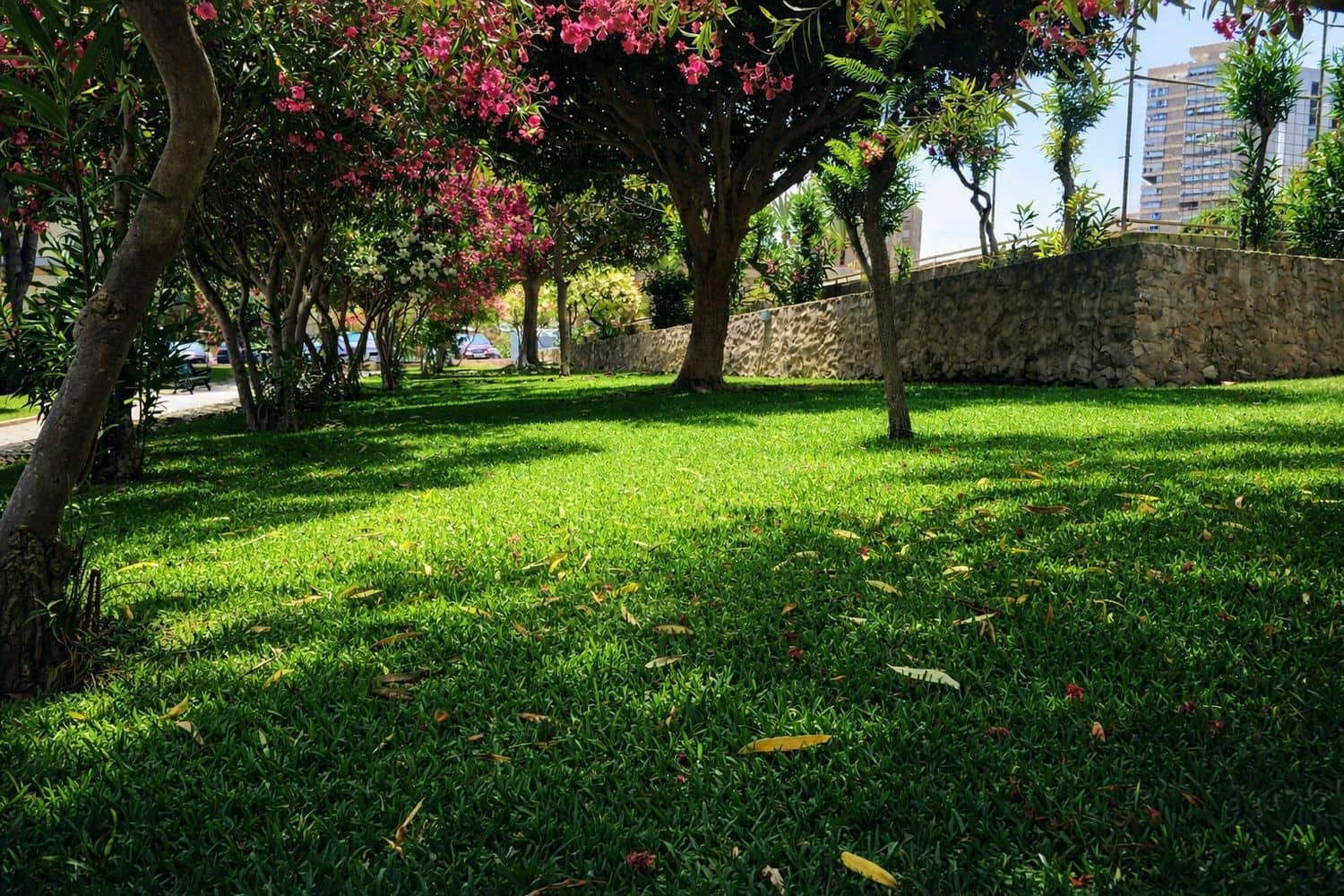 2 Zimmer Apartment zu verkaufen in Playa de San Juan mit Pool Garage - 230.000 € (Ref: 9823226)