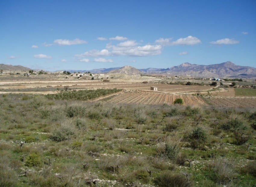 Byggetomt til salgs i La Romana - € 50 000 (Ref: 4931515)